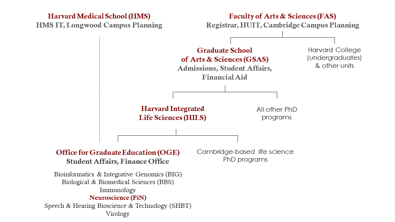 organizational chart showing where PiN sits within Harvard ecosystem