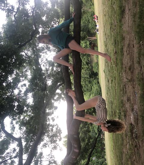 PiN students climbing trees