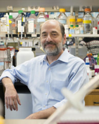 greenberg_michael_1.jpg